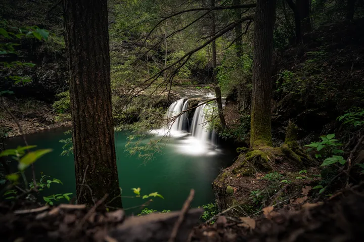 Small waterfall pouring into an emerald green pool, framed through forest trees