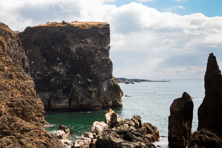 Sea cliffs in Iceland