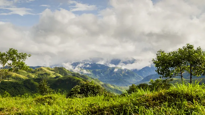 Two trees framing a panoramic view of green mountains and clouds
