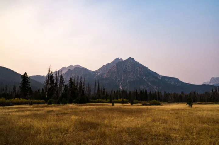 Golden meadow at dusk with the Sawtooth Mountains in the background