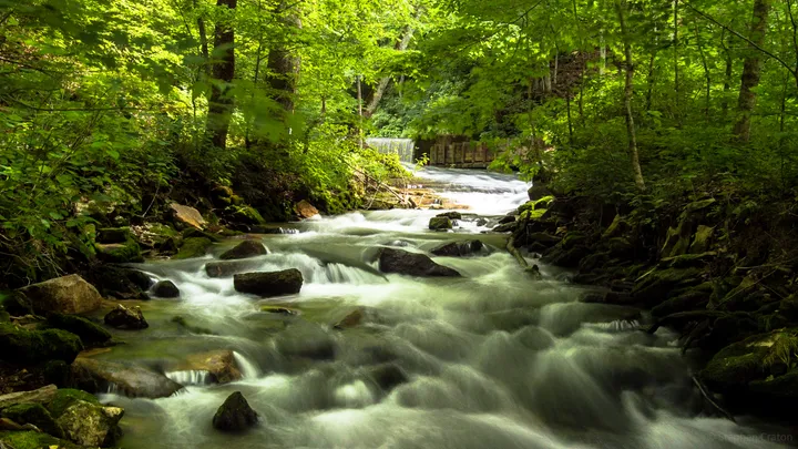 Long exposure stream at Spring Mill State Park